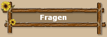 Fragen